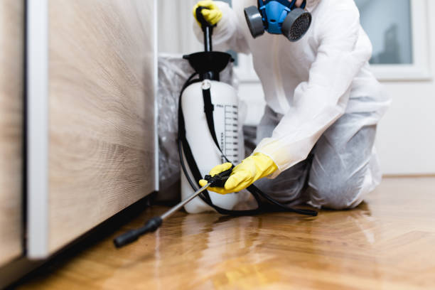 Best Exterminator Services  in Edgemoor, DE