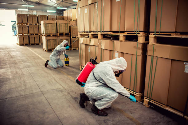 Best Pest Prevention Services  in Edgemoor, DE