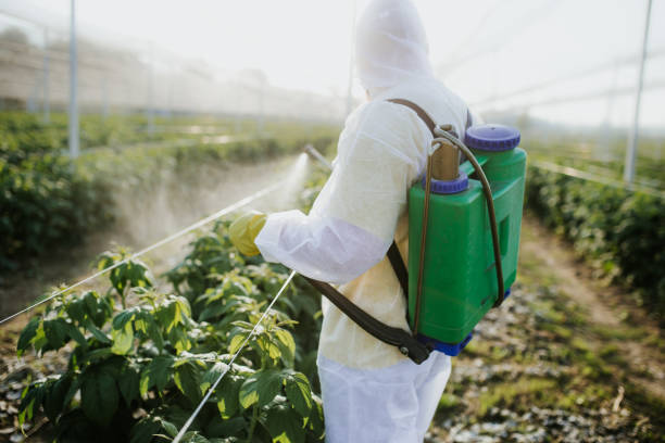 Best Insect Control  in Edgemoor, DE
